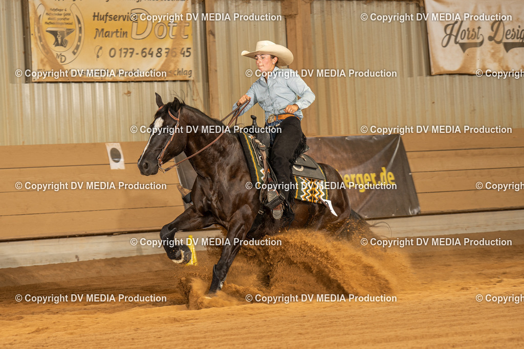 NID02211 | dv-media-shop - Realisiert mit Pictrs.com