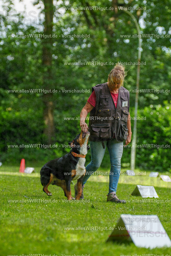 @allesWIRTHgut_Tierfotografie - www.allesWIRTHgut.de - 7R504634 | Professionelle Tierfotografie in Mönchengladbach von Daniel Wirth (allesWIRTHgut). Liebevolle & natürliche Bilder von Hunden & Katzen für unvergessliche Erinnerungen.