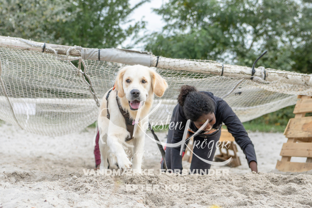 1528_ZZ95431 | kk-dogfotos