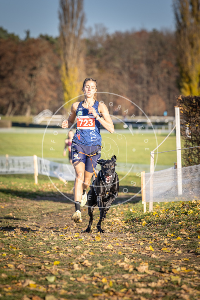 CaniXpix_DV3A1866 | Hundefotografie, Tierfotograf, Pfotenfotografie, Fotoshooting Hund, Hunde Portrait, Hundesport, Hundeportraits, Heideshooting, Hunde, Sportfotograf, Hundefotograf, Turnierhundsport, THS,  - Realisiert mit Pictrs.com