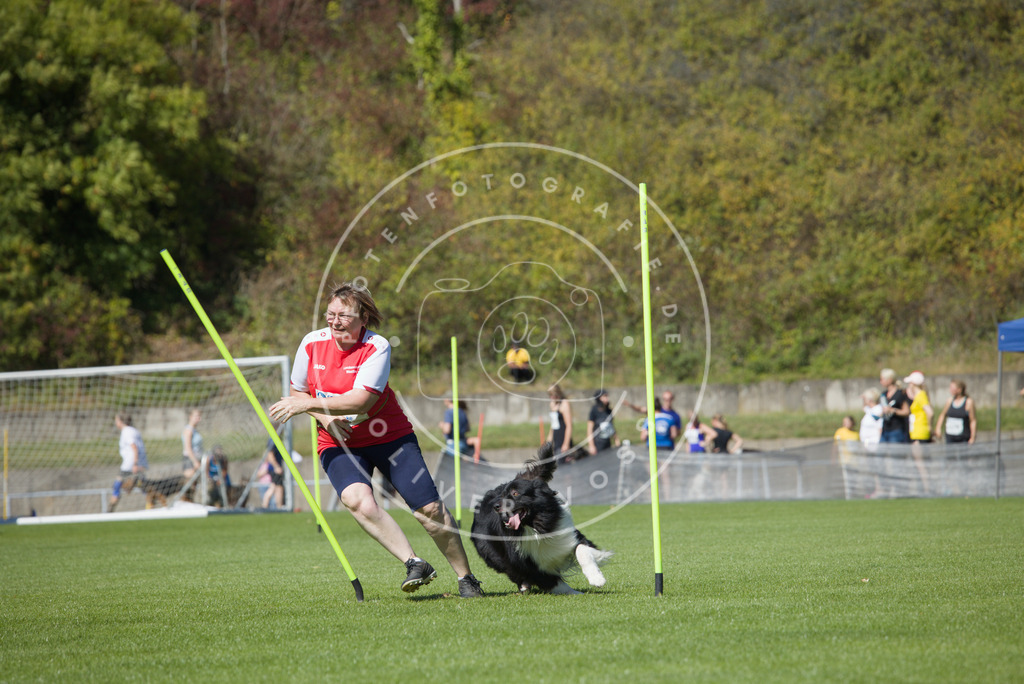 0L8A6578 | Hundefotografie, Tierfotograf, Pfotenfotografie, Fotoshooting Hund, Hunde Portrait, Hundesport, Hundeportraits, Heideshooting, Hunde, Sportfotograf, Hundefotograf, Turnierhundsport, THS,  - Realisiert mit Pictrs.com