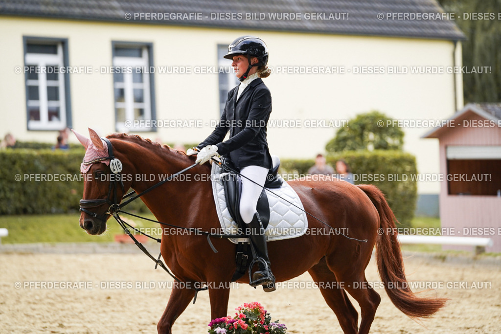 DSC00753 | Pferdegrafie