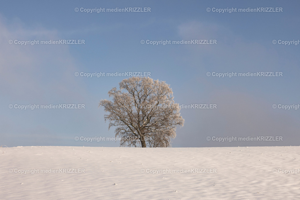 _J3A9650 | medienkrizzler - Realisiert mit Pictrs.com