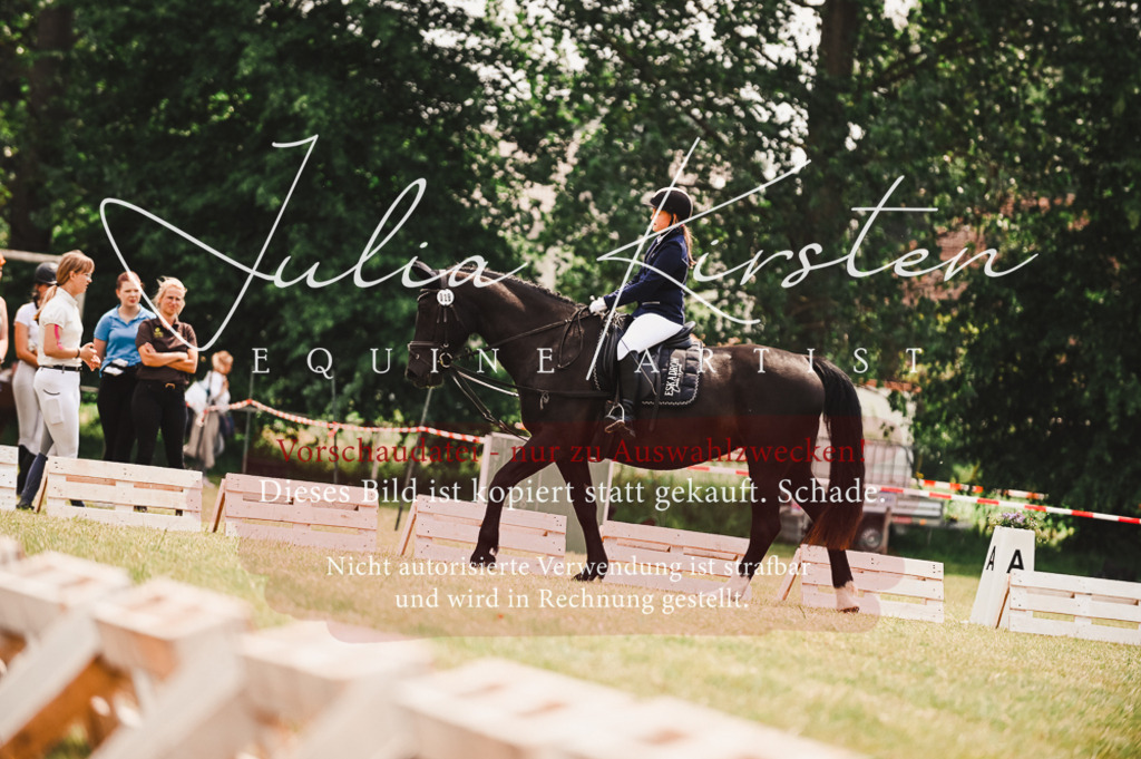 DSC_6325 | Pferde- und Turnierfotografie in Westsachsen. Pferdeportraits, Auftragszeichnungen und intuitive Kunst.