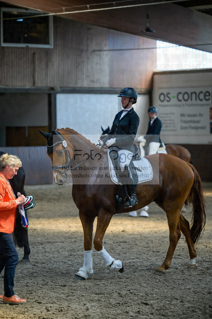 Reitturnier Voxtrup | Entdecke hochwertige Reitturnierfotos von Foto Oger. Professionell, emotional und authentisch – jetzt Lieblingsmomente im Shop bestellen.Deutschlandweite Turnierfotografie. - Realisiert mit Pictrs.com