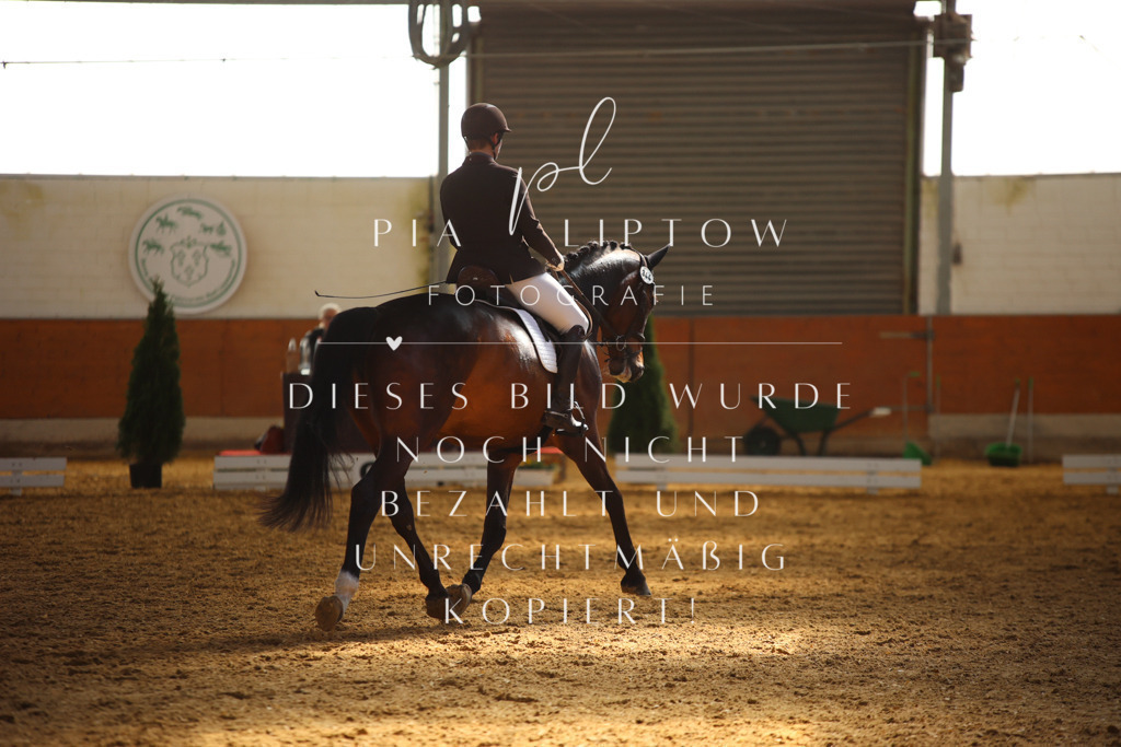 IMGT7222 | pl-fotografie