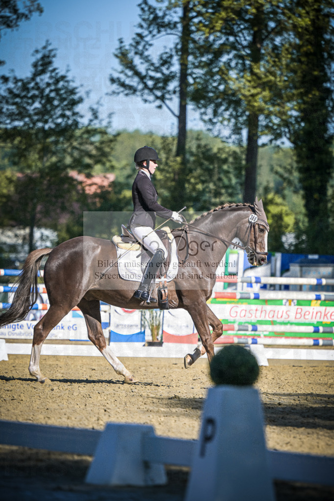 DOS_4974 | Entdecke hochwertige Reitturnierfotos von Foto Oger. Professionell, emotional und authentisch – jetzt Lieblingsmomente im Shop bestellen.Deutschlandweite Turnierfotografie. - Realisiert mit Pictrs.com