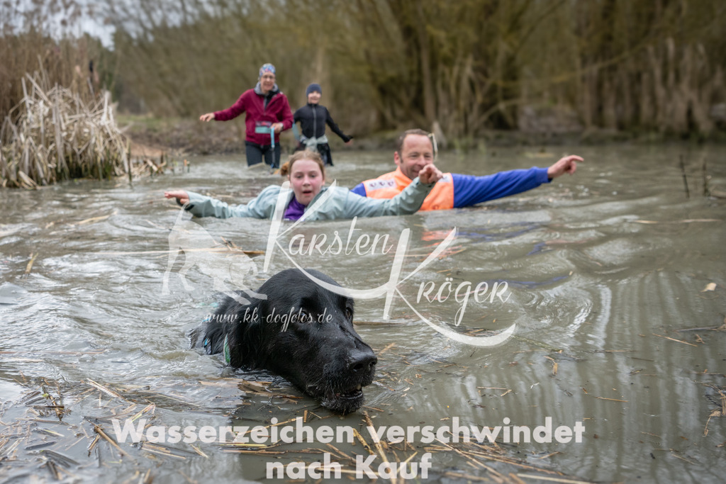 1131_ZZ99781 | kk-dogfotos