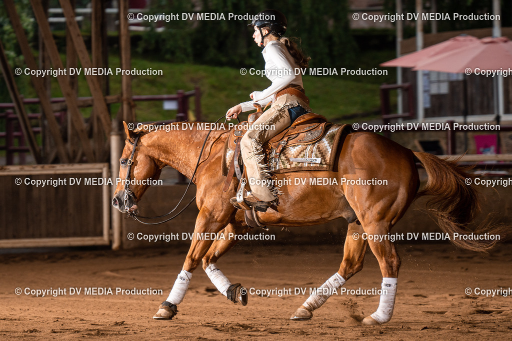 Erbach Tag 3-847 | dv-media-shop - Realisiert mit Pictrs.com