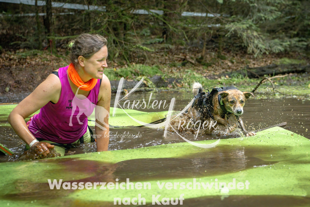1517_ZZ90166-Bearbeitet | kk-dogfotos