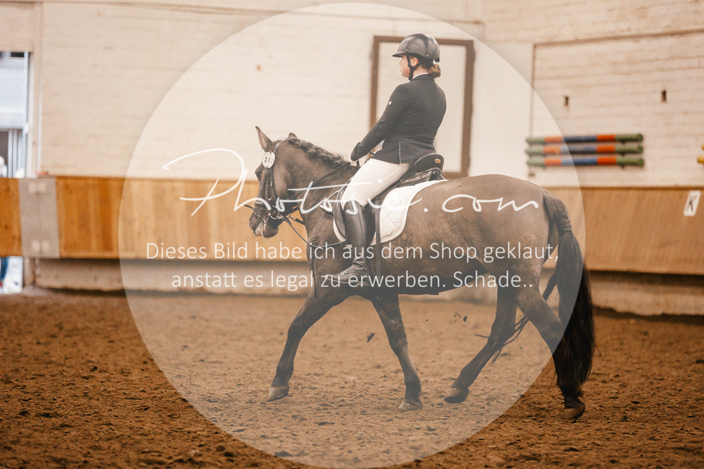 3I6A6179 | Stimmungsvolle Portraits und Reitsportfotografie im Ruhrgebiet und im Münsterland.

Pferdefotografie, Hundefotografie, Tierfotografie, Reportagen, Portraits von Tier und Mensch, Turnierfotografie in Bochum, Recklinghausen, Marl, Haltern am See, Dülmen.. - Realisiert mit Pictrs.com