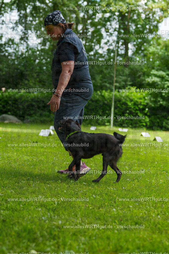 @allesWIRTHgut_Tierfotografie - www.allesWIRTHgut.de - 124400-7R509382 | Professionelle Tierfotografie in Mönchengladbach von Daniel Wirth (allesWIRTHgut). Liebevolle & natürliche Bilder von Hunden & Katzen für unvergessliche Erinnerungen.