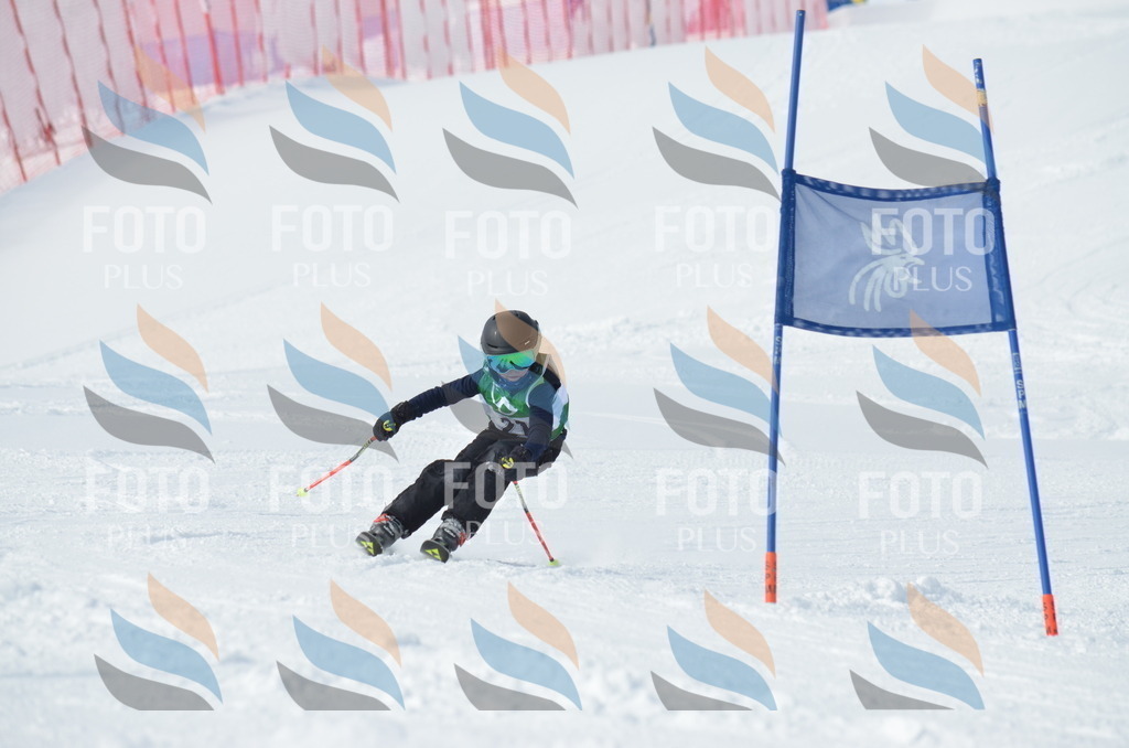 D8580 | holidayphoto