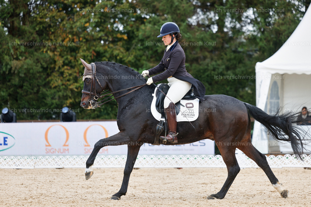 07-191-DRESSUR  S___  -StoibPH-4996 | working equitationturnier fotograf videograf stoibphotography marixx film working equitation deutschland reitsport turnierfotografie eventfotografie equestrian events