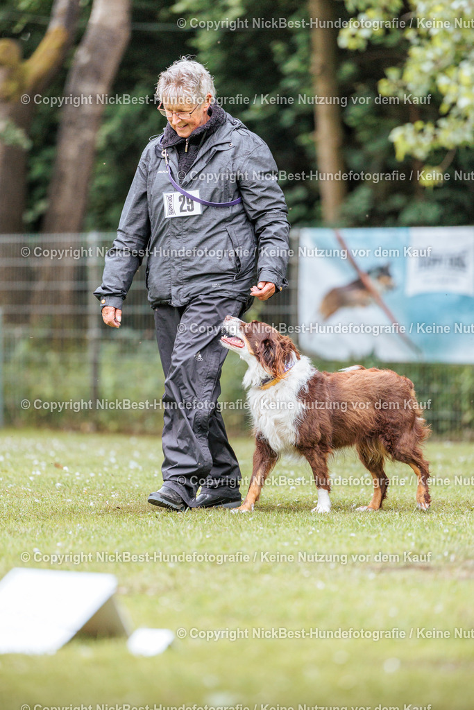 RO-Blumenthal-2026-Nickbest-Hundefotografie-2350 | Dein Hund! Dein Moment! Deine Erinnerungen! Hundefotografie in Bremen Blumenthal. Ich fange die besonderen Momente deines Vierbeiners ein – ob Indoor mit Blitzanlage oder in der freien Natur. Sicher dir dein Moment und dein Termin für eure Erinnerungen.