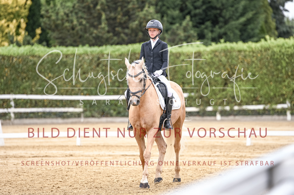 Schugtsche-Aluta25-42.EDressur -281 | Schugtsche Fotografie - Realisiert mit Pictrs.com