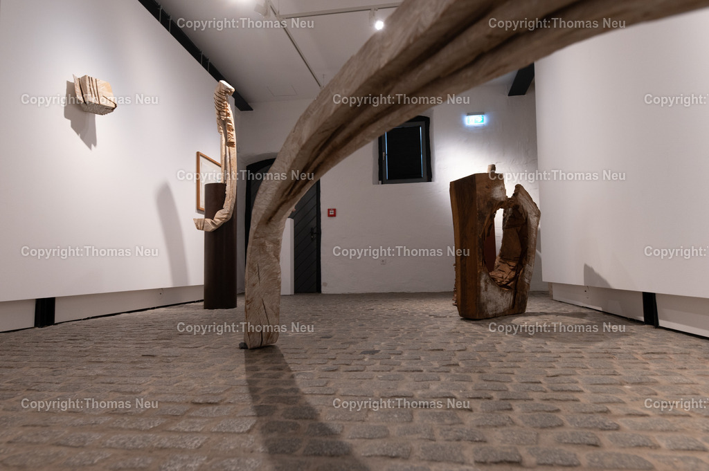DSC_9311 | Museum Bensheim, Ausstellung Jochen Walpoth, 