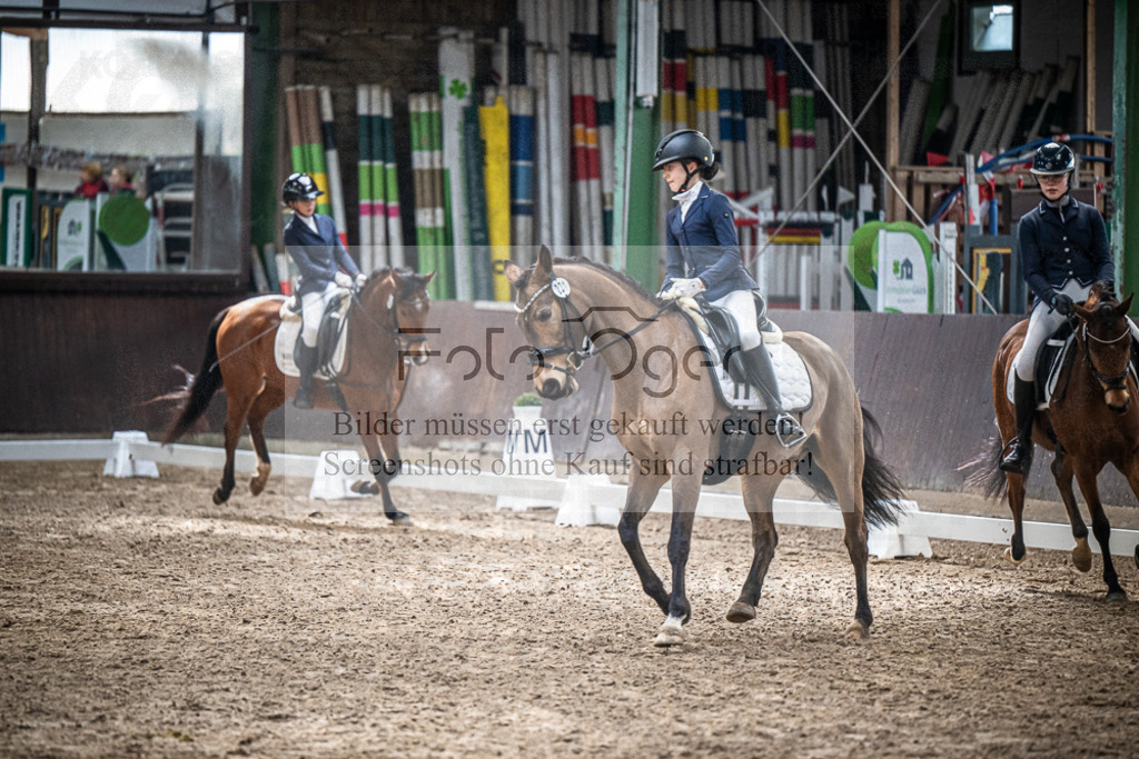 DOS_0964 | Entdecke hochwertige Reitturnierfotos von Foto Oger. Professionell, emotional und authentisch – jetzt Lieblingsmomente im Shop bestellen.Deutschlandweite Turnierfotografie. - Realisiert mit Pictrs.com