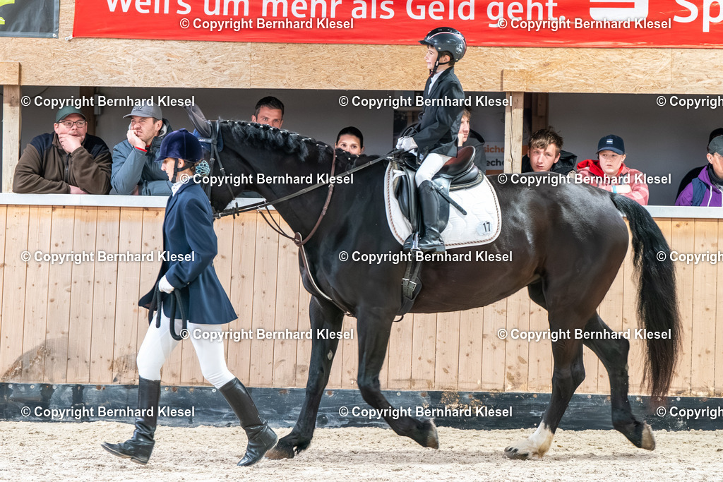 2A902330 | foto-team-bernhard - Realisiert mit Pictrs.com