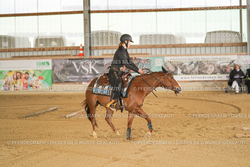 DSC05788 | Pferdegrafie