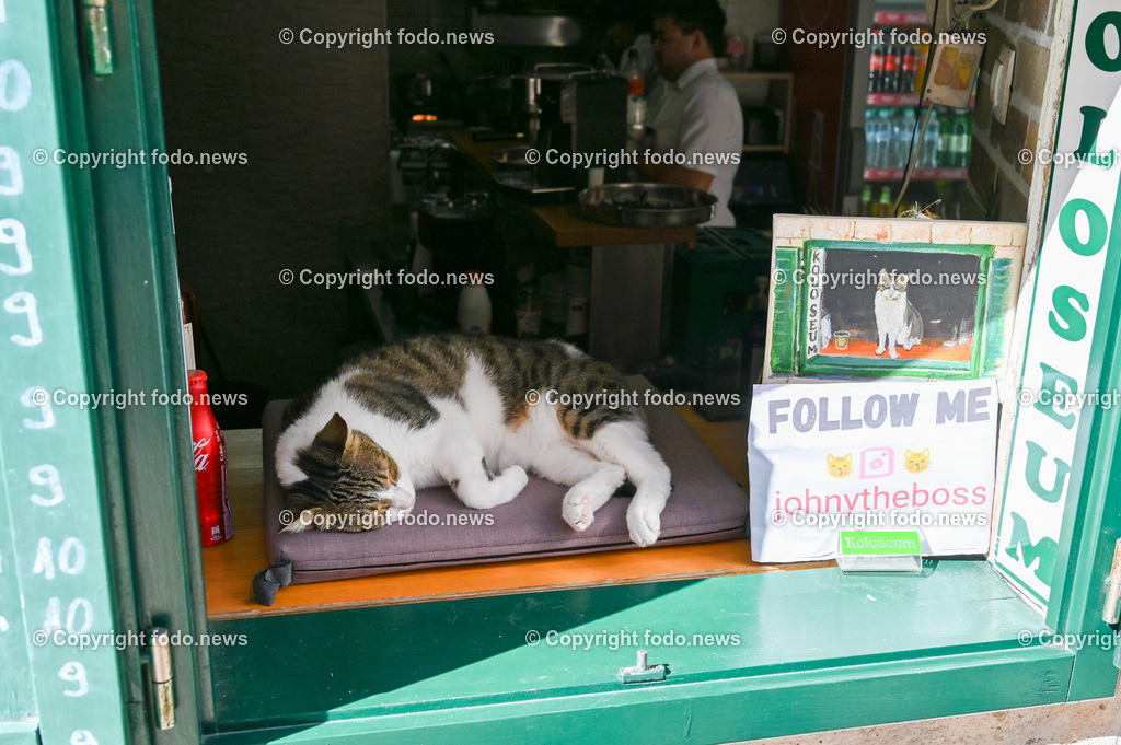 Kroatien_ Dubrovnik_ 11.10.2023-70 | 11.10.2023, Kroatien, HRV, Dubrovnik im Bild Gastronomie, Tourismus, Touristen, Sehenswuerdigkeiten, Stadtansichten



eine Stadt im suedlichen Kroatien an der Adriakueste in der Gespannschaft Dubrovnik-Nereveta. Die Altstadt wurde im Jahr 1979 von der UNESCO in die Liste des Weltkulturerbes aufgenommen.