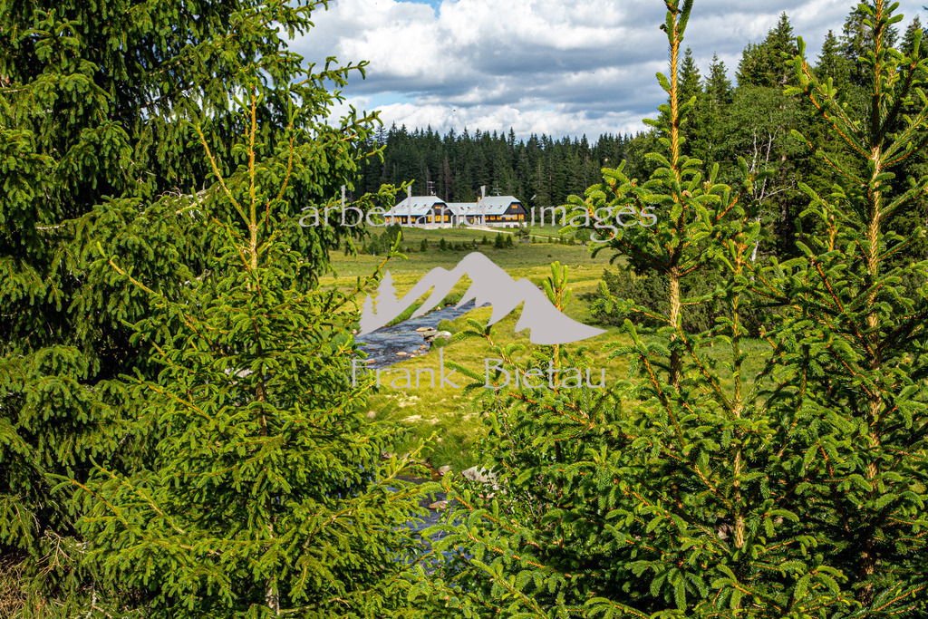 IMG_7132 | Forsthaus Breznik, Böhmen, Nationalpark Sumava