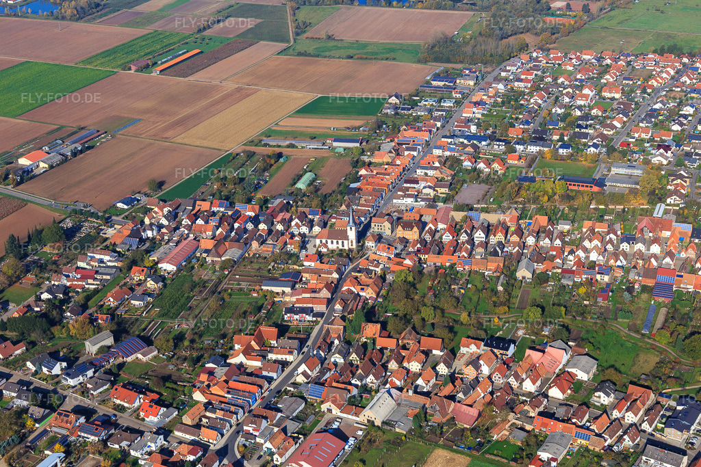 Luftbild: Waldstraße aus Süden in Ottersheim bei Landau im Bundesland Rheinland-Pfalz in Deutschland. Foto: IMG_104317.jpg vom 31.10.2017 durch Werner Riehm/FLY-FOTO.de