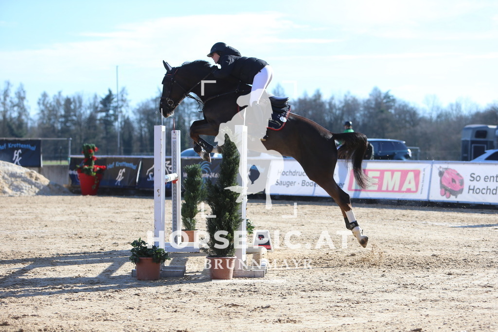 DL2Q3924 | Willkommen bei Brunnmayr - Design & Fotografie – Ihrem Spezialisten für Reitturniere und Pferdeveranstaltungen in Oberösterreich, Salzburg und Bayern! Seit über 17 Jahren sind wir leidenschaftlich dabei.