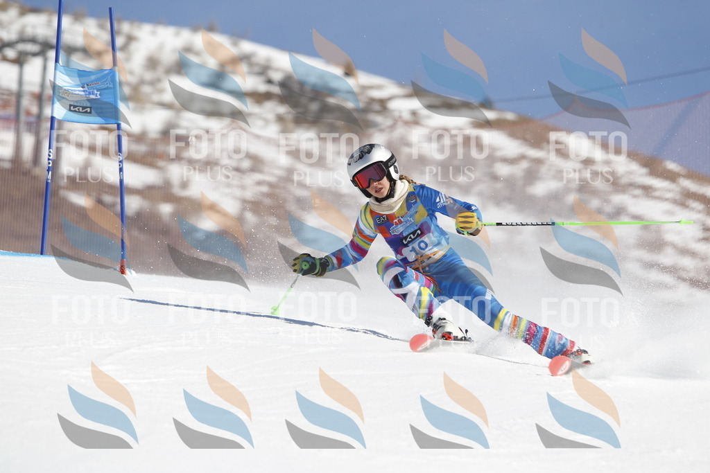 _U3G8647 | holidayphoto