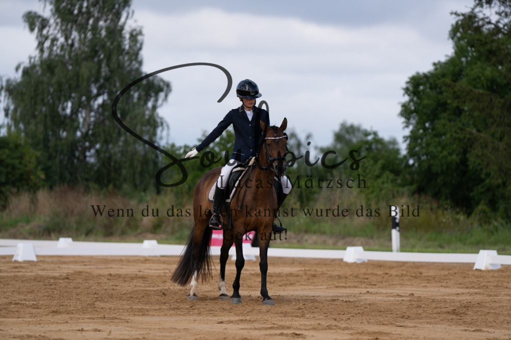 A7V05202 | Pferdefotograf