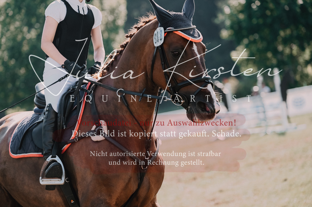 DSC_4877 | Pferde- und Turnierfotografie in Westsachsen. Pferdeportraits, Auftragszeichnungen und intuitive Kunst.