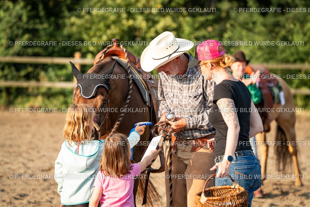 DSC06354 | Pferdegrafie