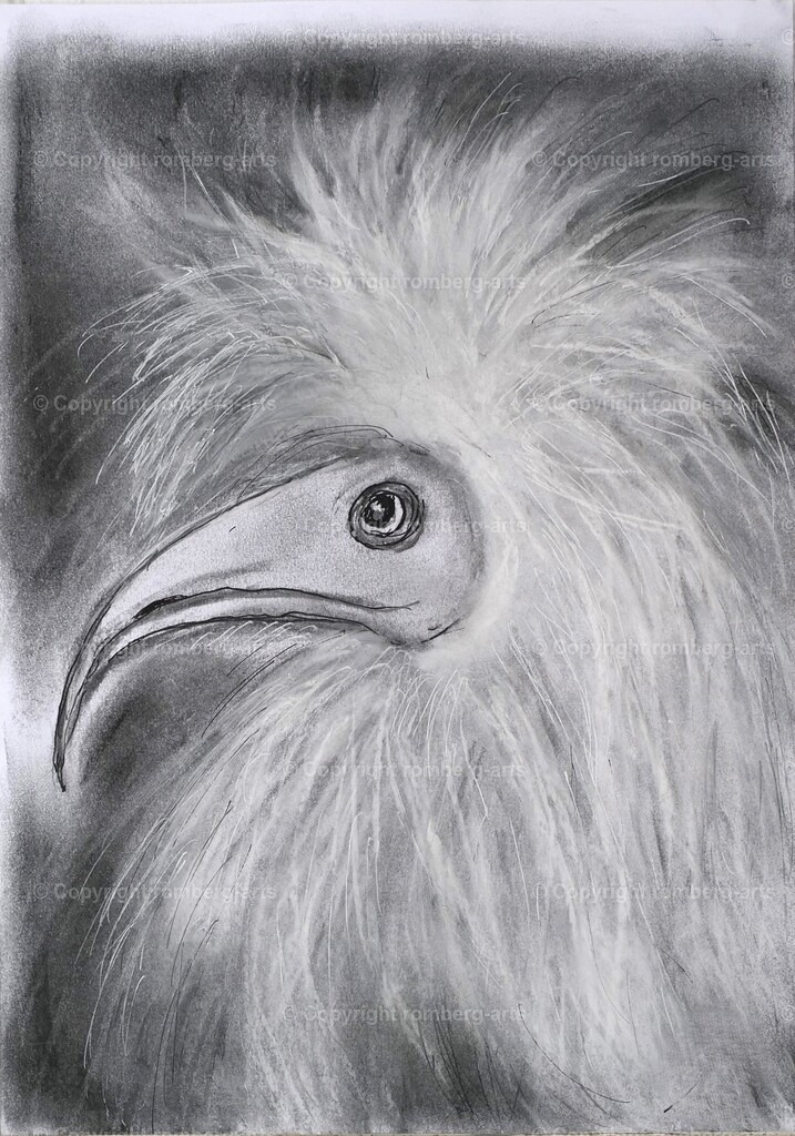 L1020689 | romberg-arts, romberg-arts.de, www.romberg-arts.de, Foto_Online_Shop, Julia Fuhrmann, Köln, Fotos, Fotografie, Fotokunst, Kunstdrucke, Naturfotos, Aktfotos, Nacktfotos, schwarz_weiß_Fotos, Blumenfotos, Blumen, Tiere, Beton, Korrosion, Lächeln, Drucke