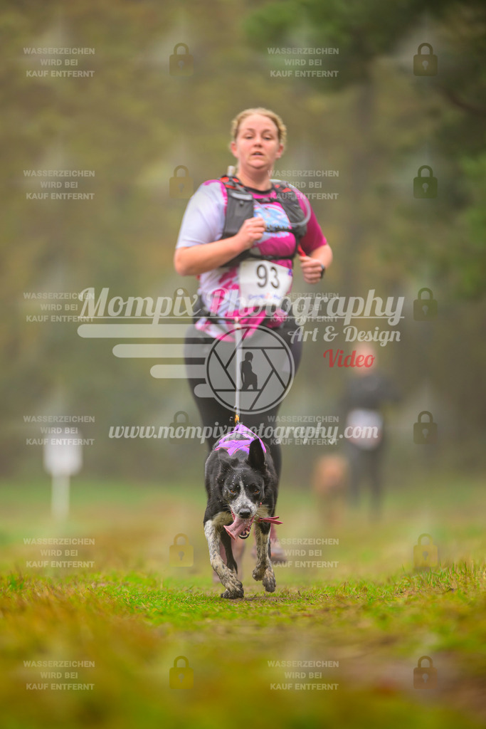 MompixPhotography_Bischwiller2025_Canicross-134 | mompixphotography