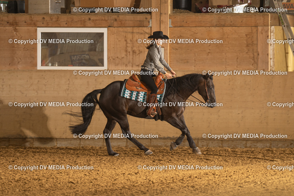 LAU00498 | dv-media-shop - Realisiert mit Pictrs.com