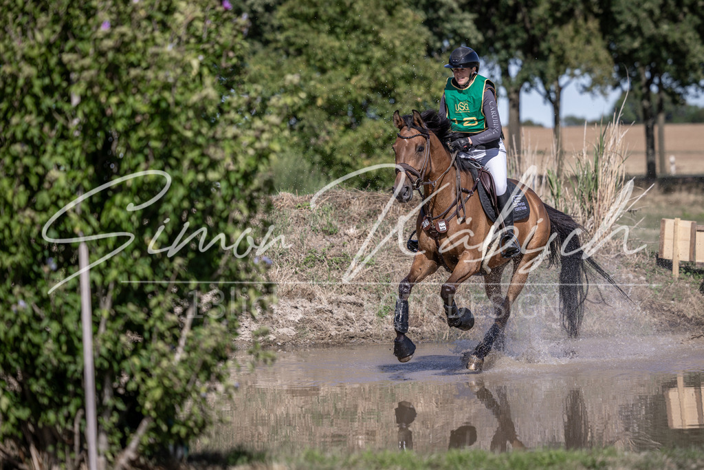 20260906-_3LI5852 | Tierfotografie Pferde, Hunde, Katzen, Haustiere.
Turnierfotografie Reitturniere, Reiten, Springreiten, Dressur in Hanau, dem Main-Kinzig-Kreis und dem Rhein-Main- Gebiet um Frankfurt