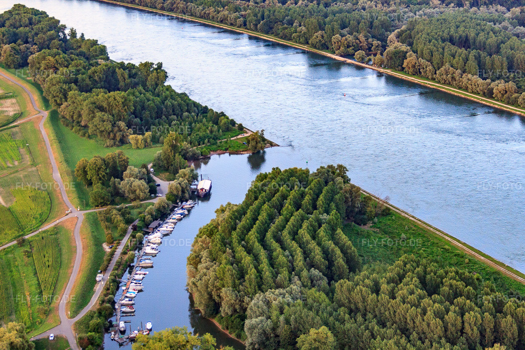Luftbild: Lautermuschel an der Mündung der Lauter in den Rhein in Neuburg am Rhein im Bundesland Rheinland-Pfalz in Deutschland. Foto: IMG_59124.jpg vom 04.08.2013 durch Werner Riehm/FLY-FOTO.de