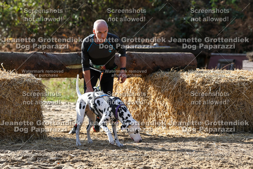 Dog Paparazzi - Strongdog 10-25-5986 | Dog Paparazzi Jeanette Grottendiek Fotografie & Videografie - Realisiert mit Pictrs.com