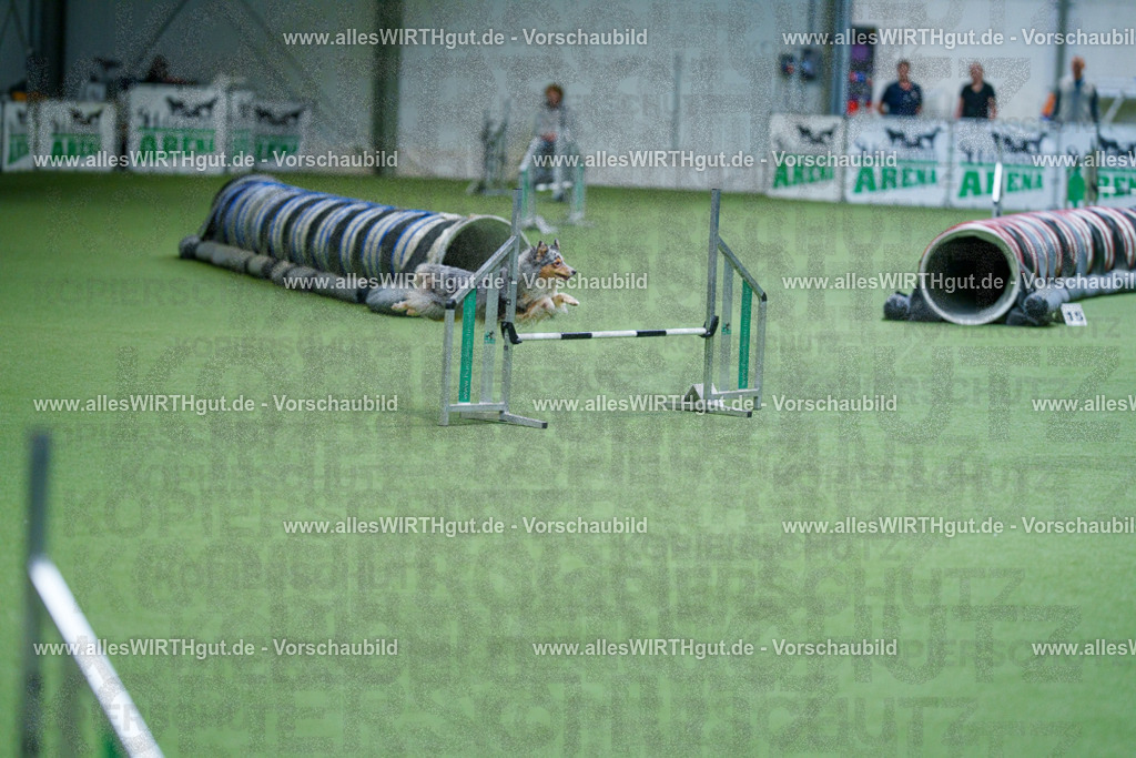 @allesWIRTHgut_Tierfotografie - www.allesWIRTHgut.de - 2604251000-7R509439 | Professionelle Tierfotografie in Mönchengladbach von Daniel Wirth (allesWIRTHgut). Liebevolle & natürliche Bilder von Hunden & Katzen für unvergessliche Erinnerungen.