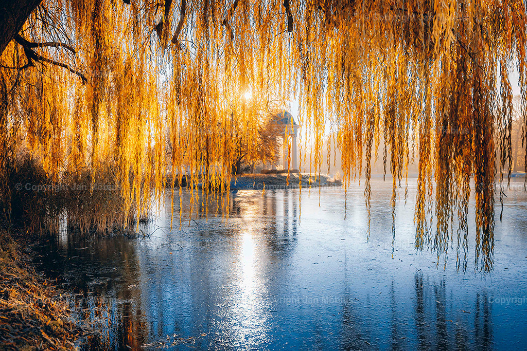 _DSC5186 | Leipzig Wandbilder Drucke Prints Leinwand Stadtmotive Leipzig Fotosdruck Kunstdrucke Bilder Leipzig Stadtansichten Acrylglasbilder Leipzig Wanddeko Fine Art Prints Wandbilder Büro Leipzig Bilder Praxis Zuhause Bilderdruck Poster Posterlounge Kunstdrucke - Realisiert mit Pictrs.com