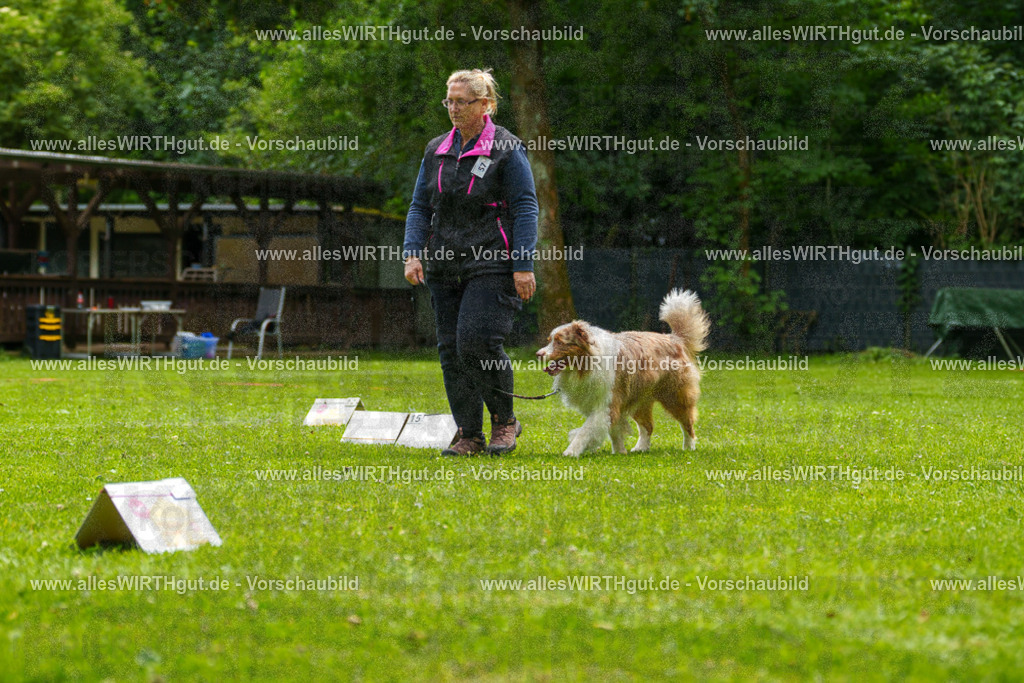 @allesWIRTHgut_Tierfotografie - www.allesWIRTHgut.de - 7R501275 | Professionelle Tierfotografie in Mönchengladbach von Daniel Wirth (allesWIRTHgut). Liebevolle & natürliche Bilder von Hunden & Katzen für unvergessliche Erinnerungen.