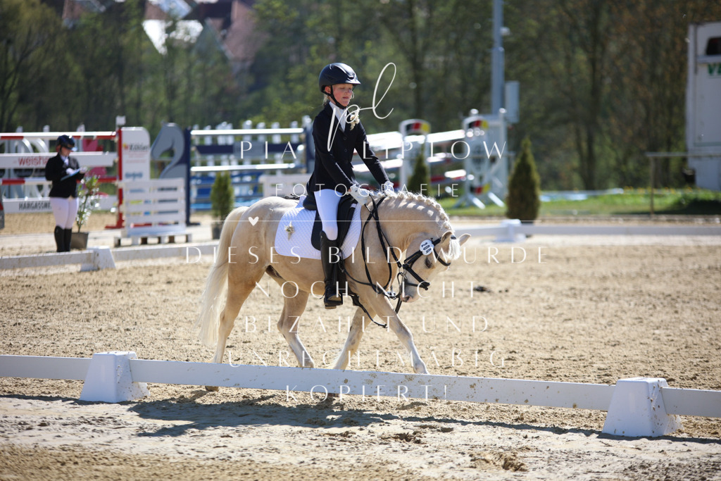 IMGT0639 | pl-fotografie