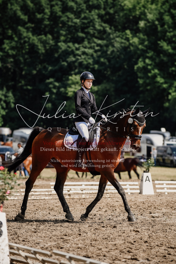 DSC_0467 | Pferde- und Turnierfotografie in Westsachsen. Pferdeportraits, Auftragszeichnungen und intuitive Kunst.