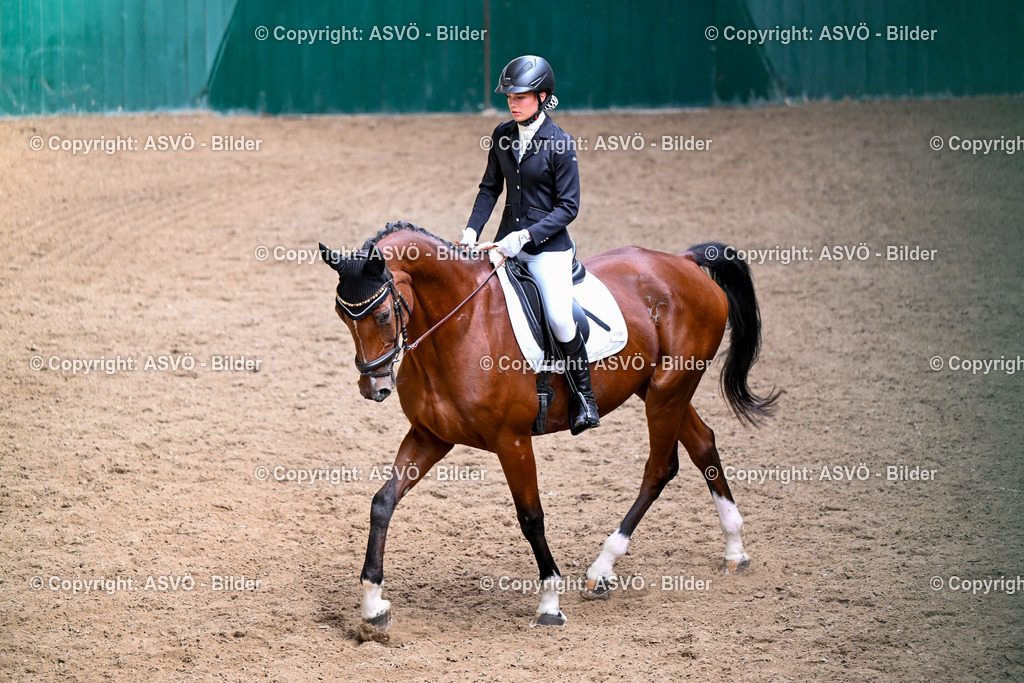 ASVÖ_ Reiten Bezirksmeisterschaft_ 24.08.2025-44 | 24.08.2025, AUT, ASVÖ, Reiten Bezirksmeisterschaft 2025Dressur und Springreiten©fodo.media / Harald Dostal - Realisiert mit Pictrs.com