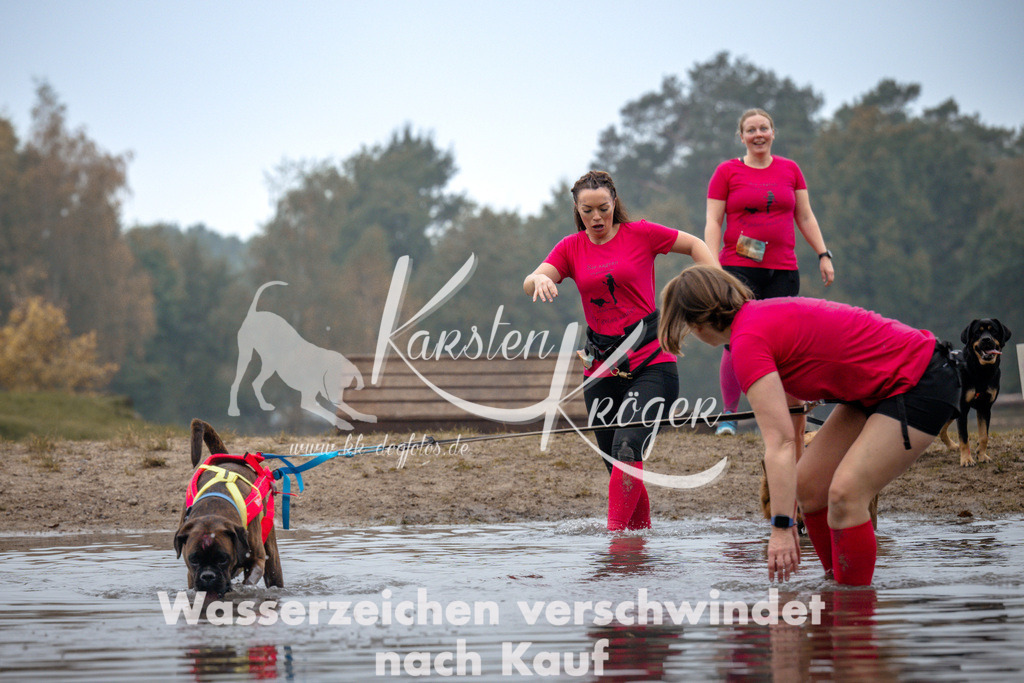 1025_ZZ99478 | kk-dogfotos