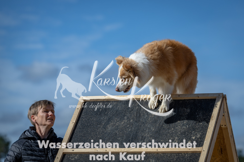 1244_ZZ93457-2 | kk-dogfotos