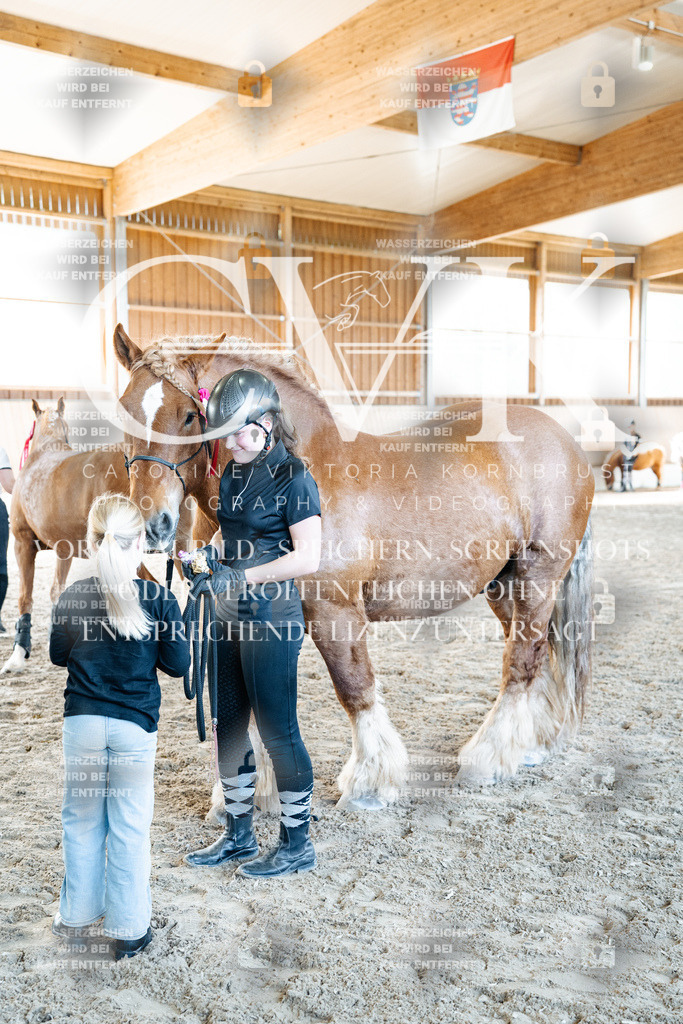 CK703182 | Turnierfotografie Pferdefotografie Trier Rheinland-Pfalz Pferdesport Reitsport Tierfotografie Sportfotografie Pferdevideo Pferdevideografie Equestrianvideography equestrianphotography  - Realisiert mit Pictrs.com