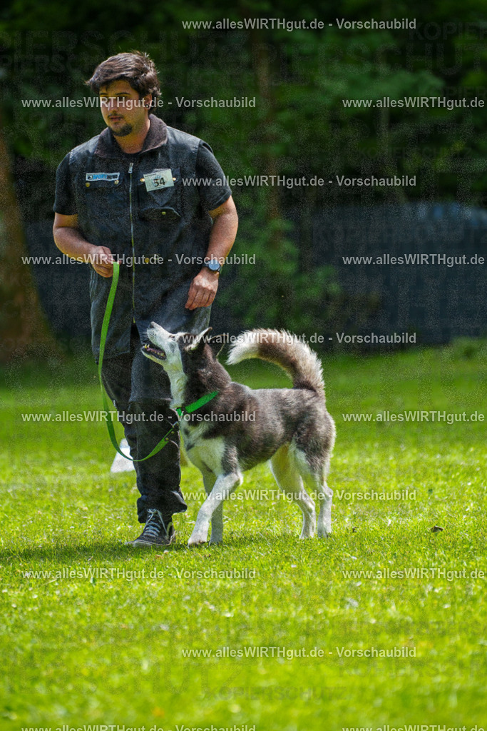 @allesWIRTHgut_Tierfotografie - www.allesWIRTHgut.de - 7R500977 | Professionelle Tierfotografie in Mönchengladbach von Daniel Wirth (allesWIRTHgut). Liebevolle & natürliche Bilder von Hunden & Katzen für unvergessliche Erinnerungen.