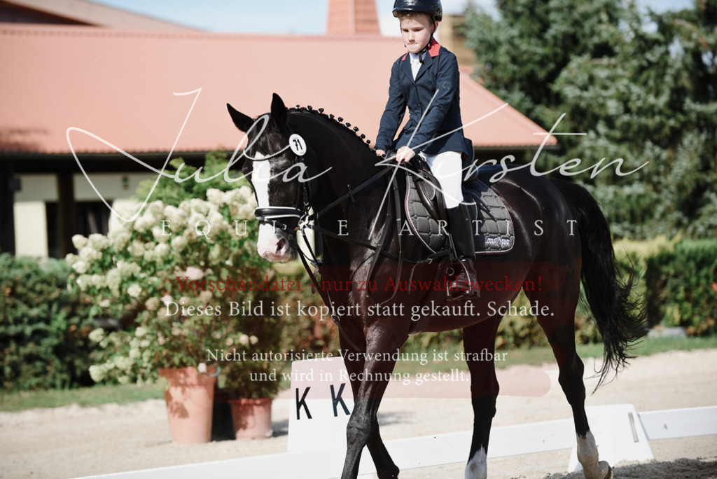 DSC_0005 | Pferde- und Turnierfotografie in Westsachsen. Pferdeportraits, Auftragszeichnungen und intuitive Kunst.