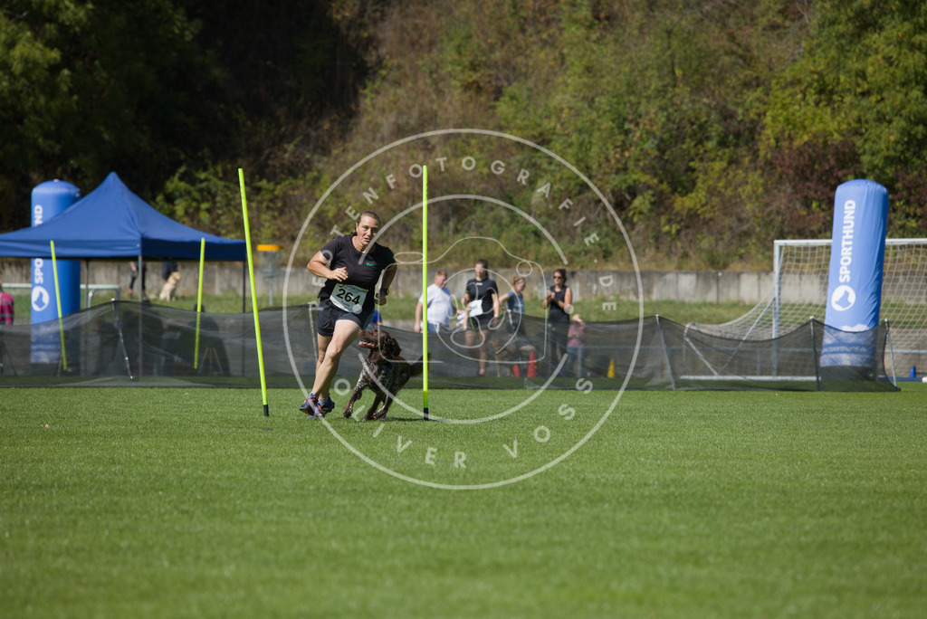 0L8A6534 | Hundefotografie, Tierfotograf, Pfotenfotografie, Fotoshooting Hund, Hunde Portrait, Hundesport, Hundeportraits, Heideshooting, Hunde, Sportfotograf, Hundefotograf, Turnierhundsport, THS,  - Realisiert mit Pictrs.com